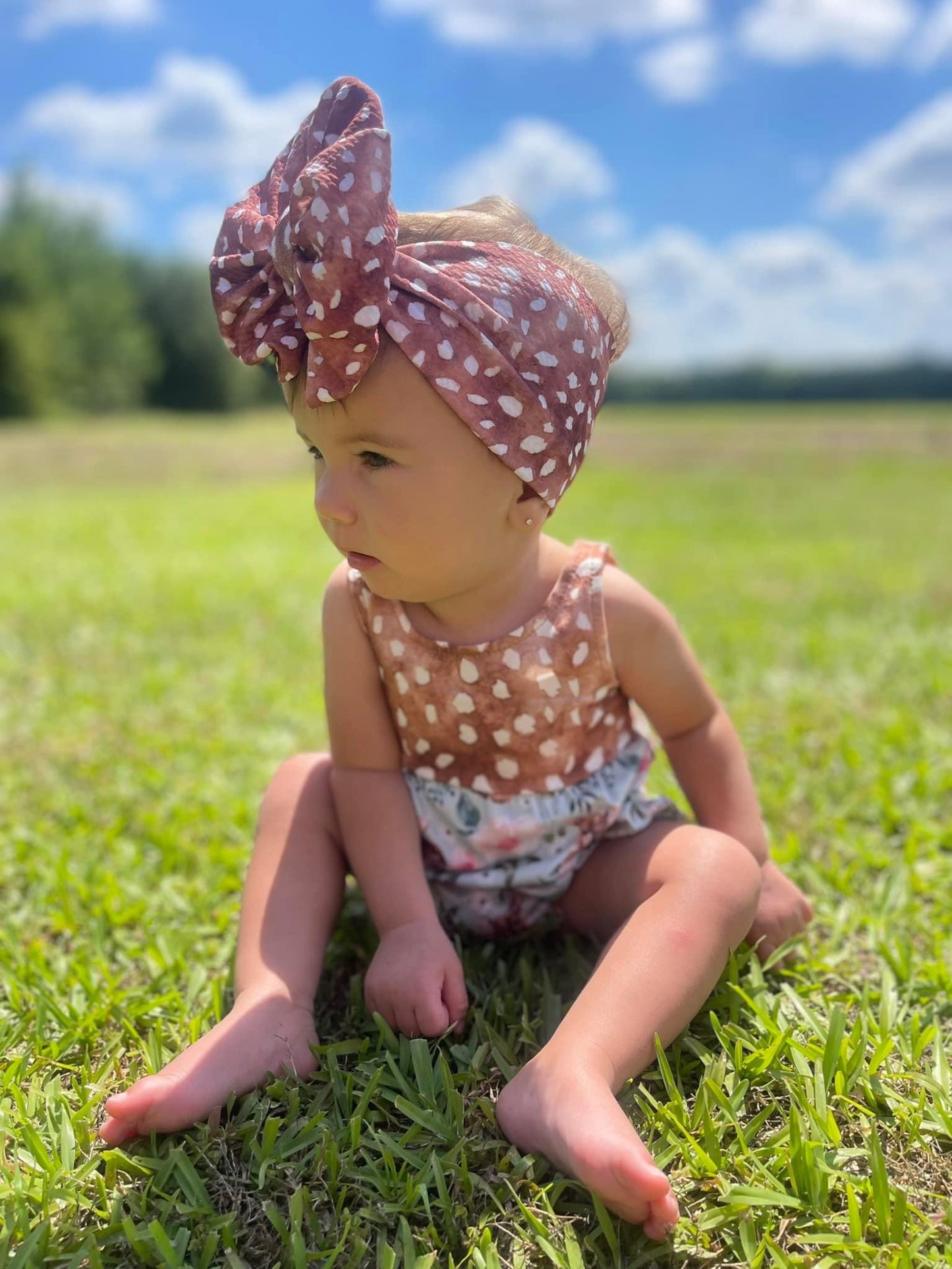 Fawn