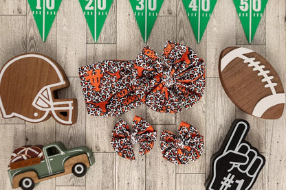 Texas Longhorns